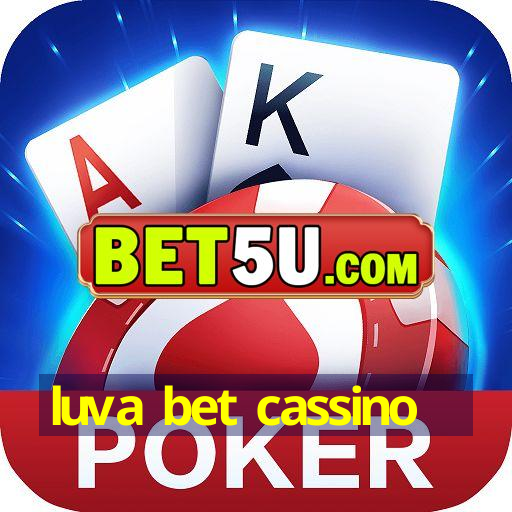 luva bet cassino